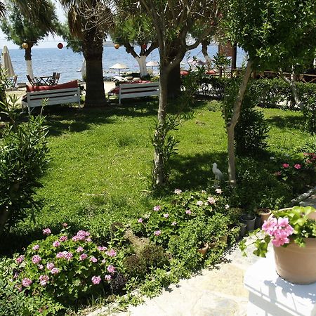 Yilmaz Hotel ออร์ทาเคนท์ ภายนอก รูปภาพ